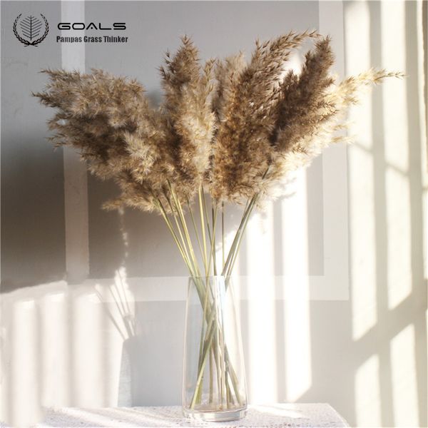 10-20 pieces of free shipping dried pampas grass decor for weddings, home, and Christmas gifts