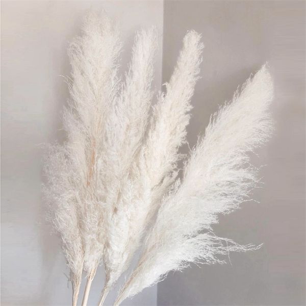 140cm tall natural white pampas grass, large dried flower bouquet for wedding and home decor