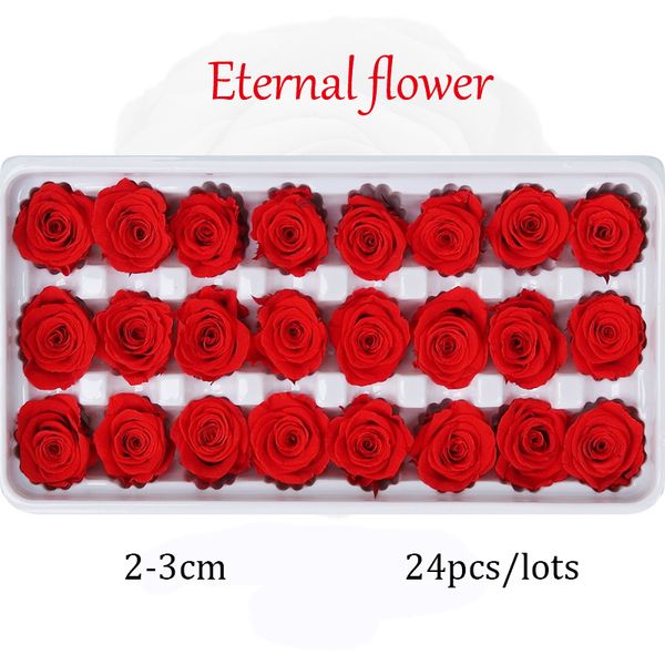 24 preserved roses in a box, perfect for DIY Mother's Day gifts or wholesale dried flower arrangements