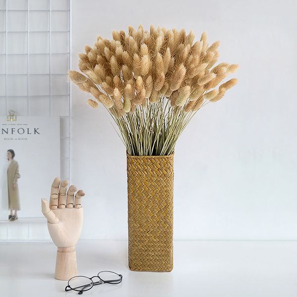 30 dried pampas grass stems with bunny tail flowers for natural home decor