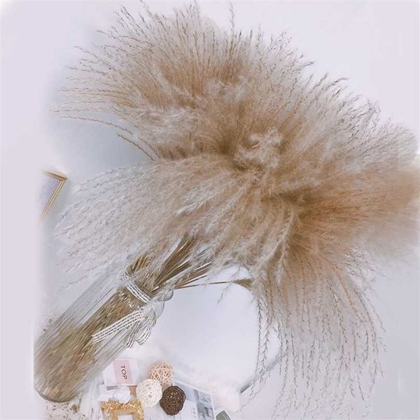 30/50pcs/lot Wedding Dried Flower Bouquet with Natural Pampas Grass for Party and Home Table Decor