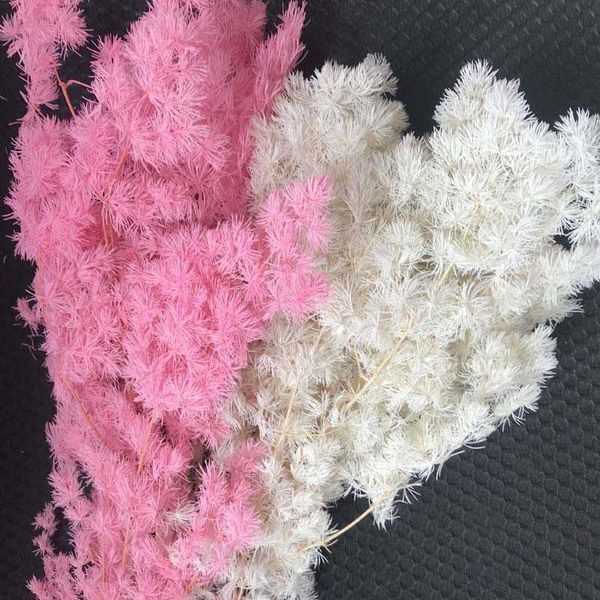 35-43cm long, approx 30g dried natural flowers, preserved Penglai pine and asparagus myriocladus bouquet 210624