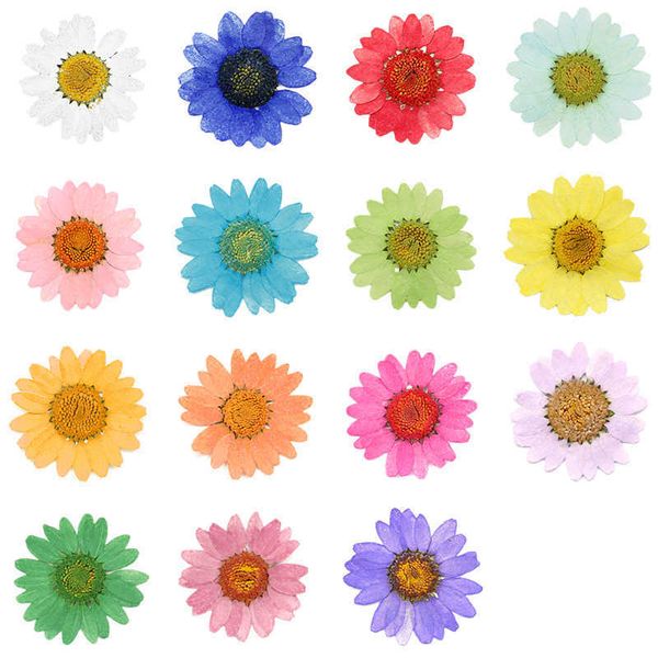360 pressed dried daisy flowers for epoxy resin jewelry crafting DIY