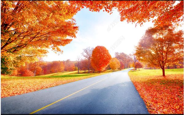 3D fantasy autumn woodland mural wallpaper for living room decor