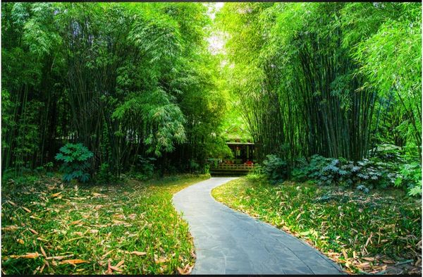 3D photo wall murals featuring serene bamboo forest trails and modern natural scenery for wall decoration