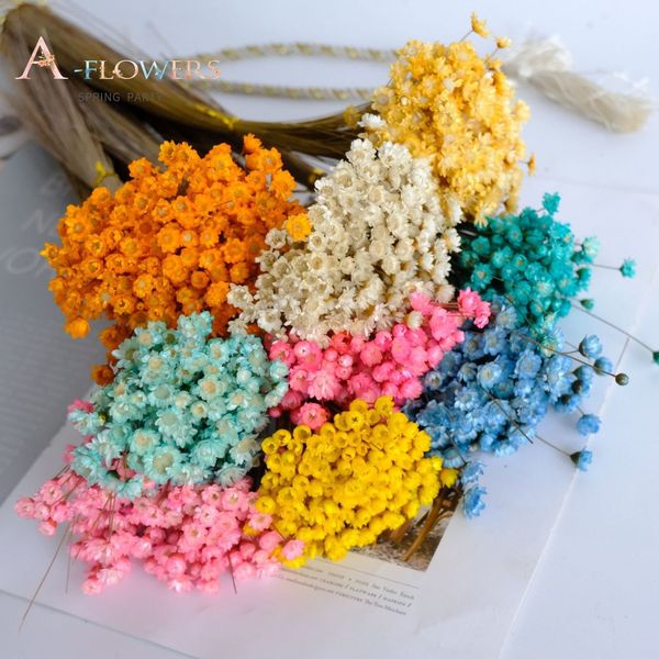 50 natural dried flower pieces including small stars, daisies, and chamomile for elegant garden or home decor and weddings