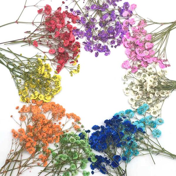 5-10 cm/pcs mini dried baby's breath flowers for decoration, available in stock from manufacturer