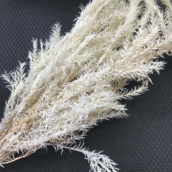 70g/Bundle Real Dried Natural Preserved Flowers Forever Melaleuca Bracteata Bouquet, Decorative Eternal Grass For Home Decoration 201222

Natural preserved Melaleuca Bracteata bouquet, 70g dried fl...