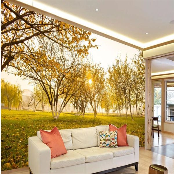Beautiful natural forest wallpapers with sunshine for decorative wall painting