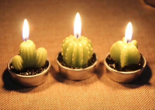 Cactus-scented green tea light candles for home decor and romantic gifting