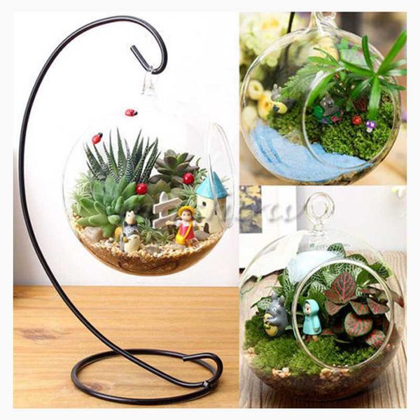 Clear glass vases for flowers, plant stands, hanging terrariums, and hydroponic containers, ideal for home, office, or wedding decor