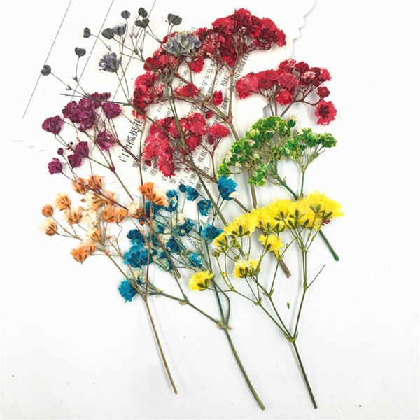 Colorful dried baby's breath bouquet for home decoration