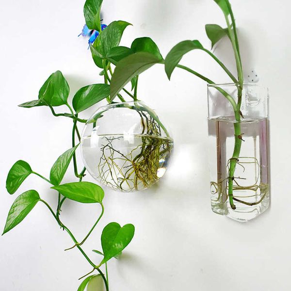 European glass hydroponic wall vases for hanging plants, Nordic home decor or fish tank gifts