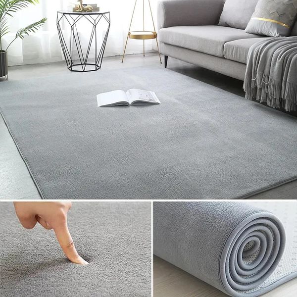 Grey Carpet Rugs with Coral Velvet Texture for Living Room, Non-Slip Large Soft Floor Mat for Kids Play Area and Home Decoration