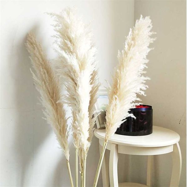 Large natural white dried pampas grass bouquet, fluffy and perfect for boho vintage home or wedding decor
