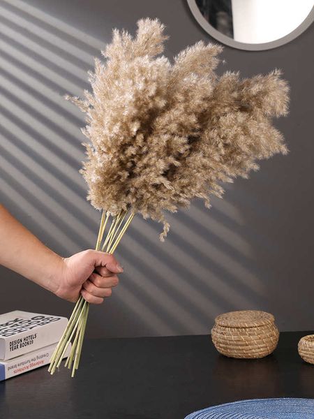 Natural dried pampas grass bouquet for weddings and modern home decor, also ideal for Christmas