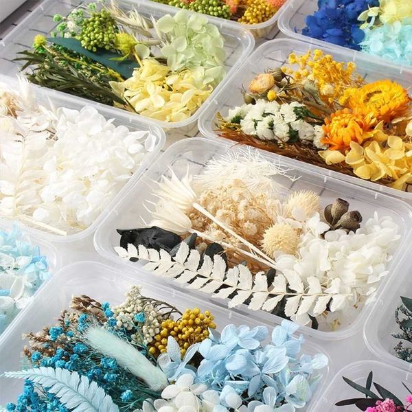 Natural preserved mixed dried flowers for DIY crafts like candles, soap, resin, and phone cases
