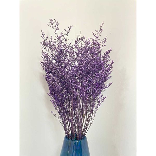 preserved wholesale dried caspia flowers Misty Limonium and other preserved floral plants