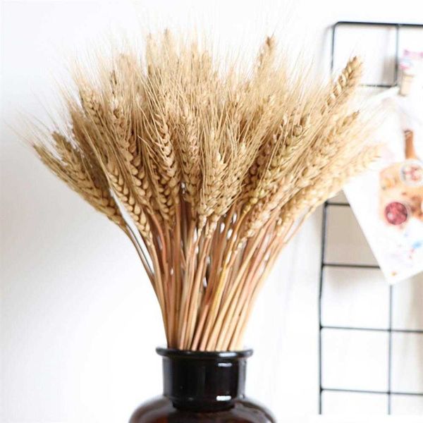 Real Wheat Ear Flower Natural Dried Flowers Wheat Ears Bouquet For Wedding Party Home Decor DIY Craft 210624

Natural dried wheat ear flowers for weddings, parties, and home decor crafts