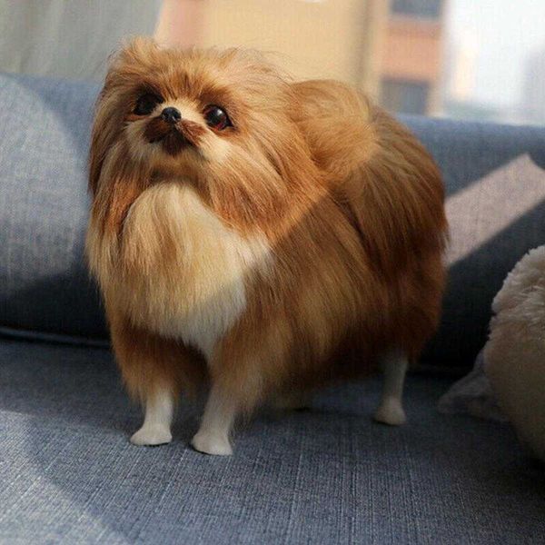 Realistic Pomeranian toy dog, a lifelike stuffed companion pet with handcrafted details