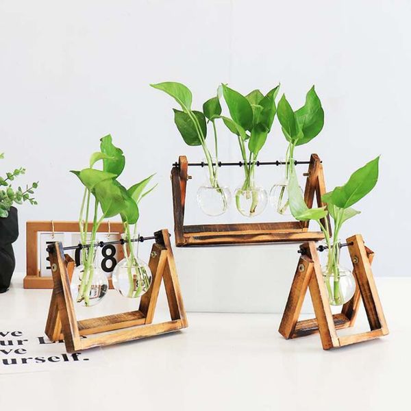 Simple modern vase for fresh living room decor with hydroponic plants in clear glass