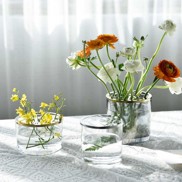 Transparent hydroponic vases with dried flowers for living room terrarium decor