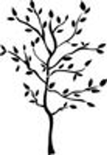 Wholesale - RoomMates RMK1317GM Tree Branches Peel & Stick Wall Decals